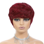 Short Pixie Cut Human Wig (90g)
