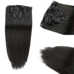 Clip in Human Hair Extension