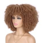 Afro Kinky Curly Hair